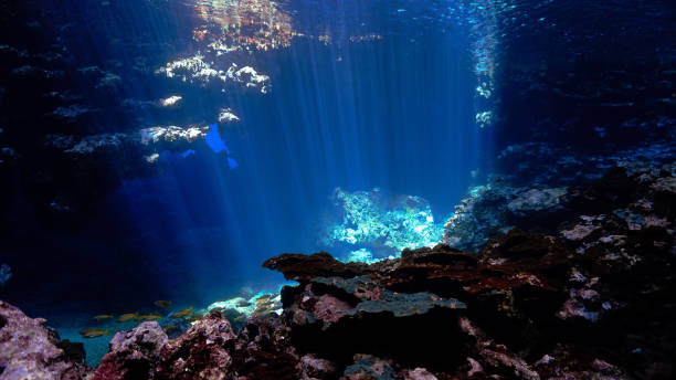 istock Cathedral of light underwater 1458912445