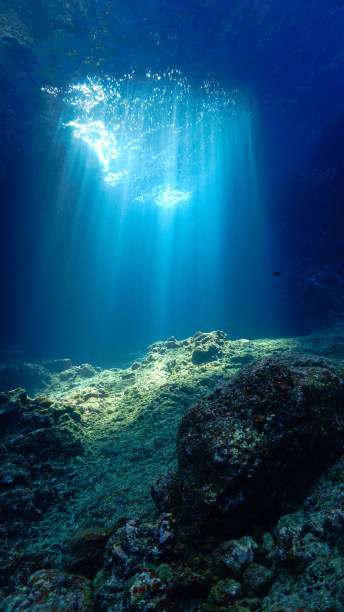 istock Underwater photo of rays of sunlight inside a cave 1458912455