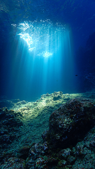 Artistic underwater photo of cathedral of light. From a scuba dive.