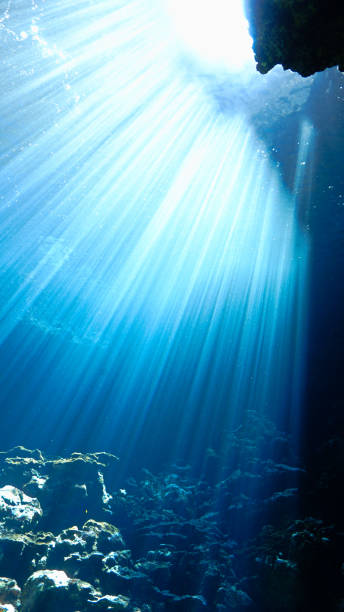 istock Underwater photo of rays of sunlight inside a cave 1458912464