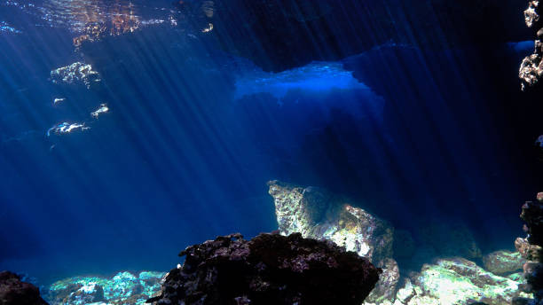 istock Cathedral of light underwater 1458912470