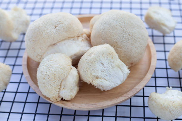 istock Fresh lion's mane mushroom on white background. 1458914678