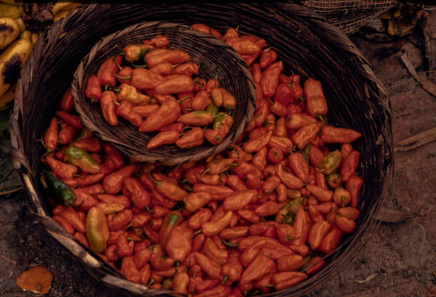 Chile Seco Piquin Chiltepin in a wicker basket