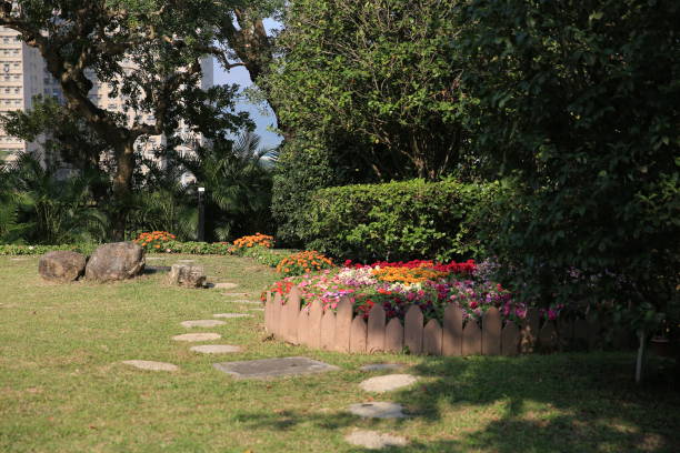 istock a multicolored flowerbed on a lawn, the nature concept 1458914876