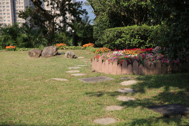 istock a multicolored flowerbed on a lawn, the nature concept 1458914884