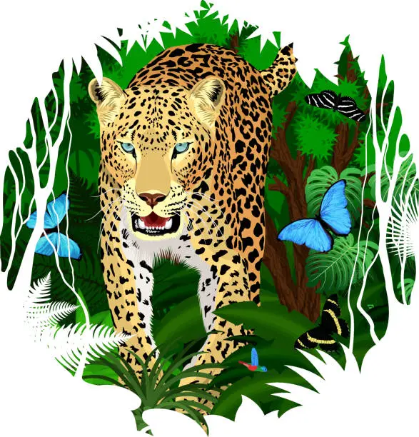 Vector illustration of Vector sticker - tropical rainforest Jungle with jaguar