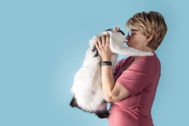 金髪の女性が彼女の顔を好きな白いマンクス猫を抱いている - real people blue white friendship ストックフォトと画像