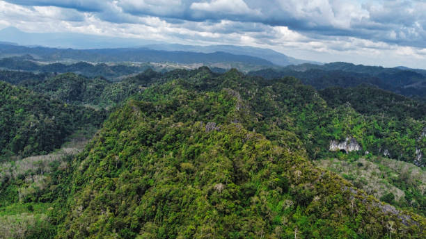 istock Top view of a stream in the forest at Thailand 1458929577