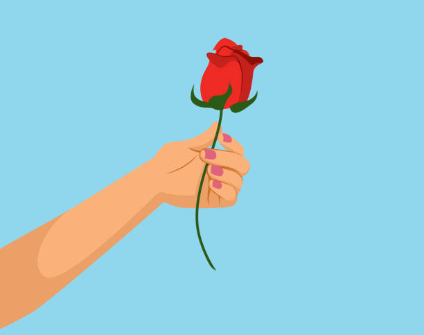 Female Hand Holding Red Rose vector art illustration
