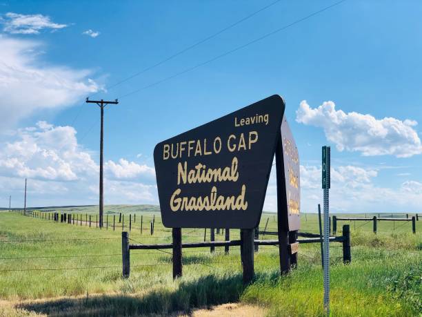 istock Buffalo Gap National Grassland 1458932360