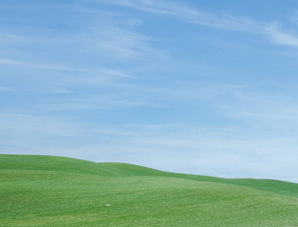 istock Grassy Hill Landacape 1458939951