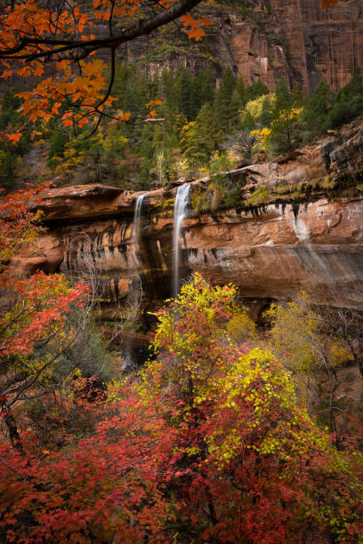 istock Zion National Park - Waterfall 1458942875