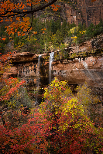 One of Zion National Park's waterfalls with the fall foliage surrounding it.