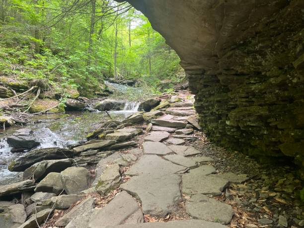 istock Under the tunnel hiking trail 1458945238