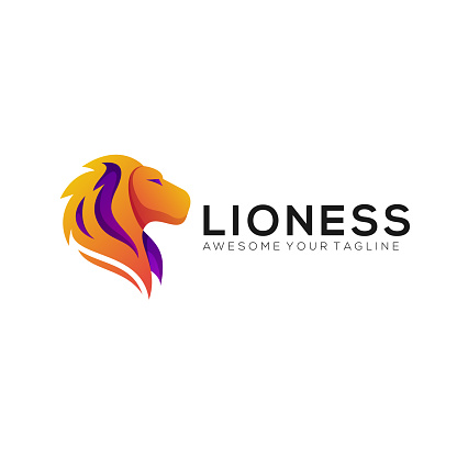 Lioness head roars vector illustration template design