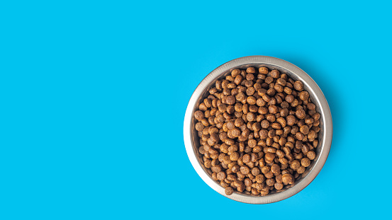 dry pet food in a metal bowl isolated on blue background, copy space. Food for cats and dogs pattern. Pile of granulated animal feeds. Granules of good nutrition for dogs and cats