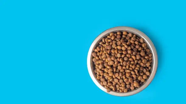 Photo of dry pet food in a metal bowl isolated on blue background, copy space. Food for cats and dogs pattern.