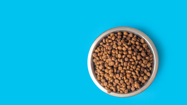 dry pet food in a metal bowl isolated on blue background, copy space. food for cats and dogs pattern. - food dry pets dog imagens e fotografias de stock