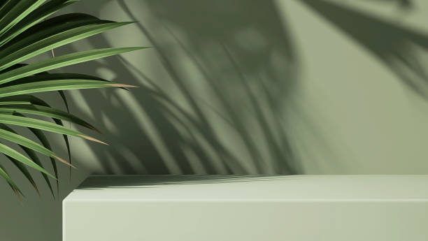 istock Modern minimal empty matte green counter table top, bamboo palm tree in sunlight, leaf shadow on green wall 1458954440