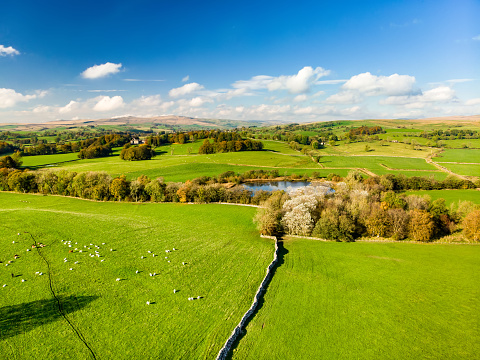 Aerial view of endless lush pastures and farmlands of England. Beautiful English countryside with emerald green fields and meadows. Rural landscape on sunset.