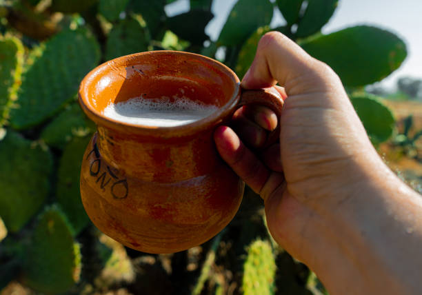 Hand holding jarrito with pulque stock photo