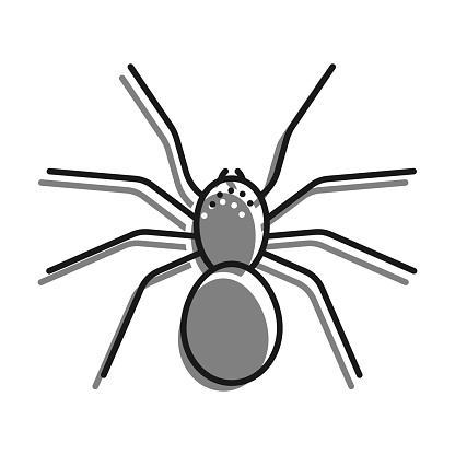 Linear filled with gray color icon. Eight Legged Poisonous Spider. Dangerous Insect Pests. Simple black and white vector Isolated On white background