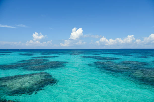 istock The best view from the breakwater 1458965145