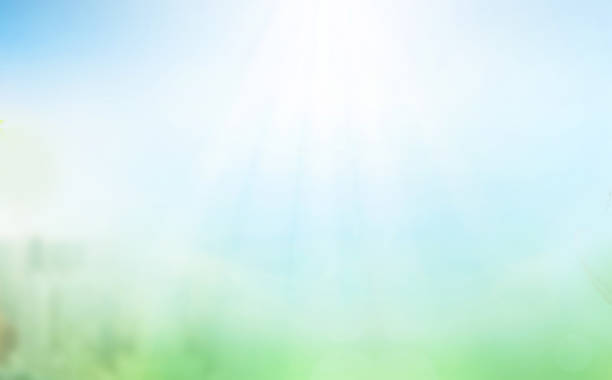 istock ESG concept: Abstract blurred green garden background 1458973219