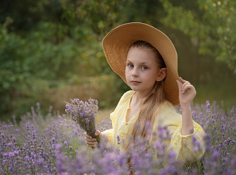 Beautiful little girl on lavender field. Sunset.