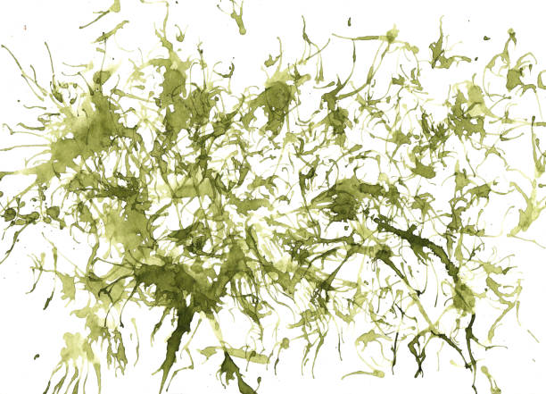 istock Horizontal abstract illustration of green watercolor splashes. Raster hand drawn illustration of dynamic chaotic drops and splashes in watercolor olive color 1458975568