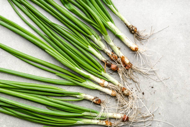 istock Fresh spring onion, green freshly harvested vegetables, top view 1458976481