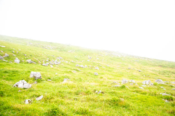 Magnificent scenery of misty Shikoku karst