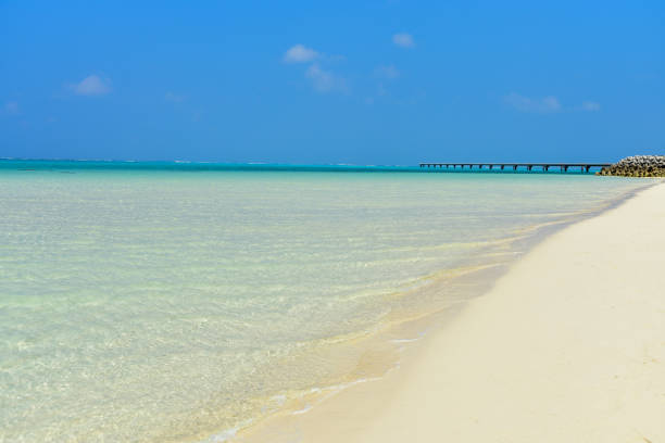 istock 17ENDA spectacular beach with a clear low tide in Okinawa 1458988778