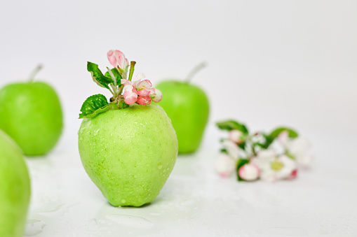 Apple flowers and ripe green apples on a white background, Fruits and flowers, sping concept. Top view