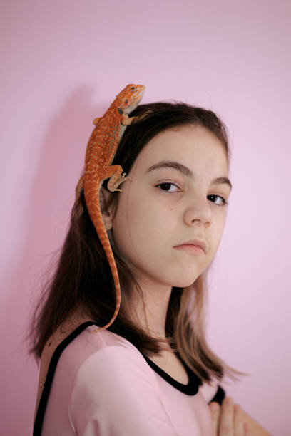 portrait of pretty girl with red bearded agama iguana on pink background. little child playing with reptile. selective focus. - iguana reptile smiling human face imagens e fotografias de stock