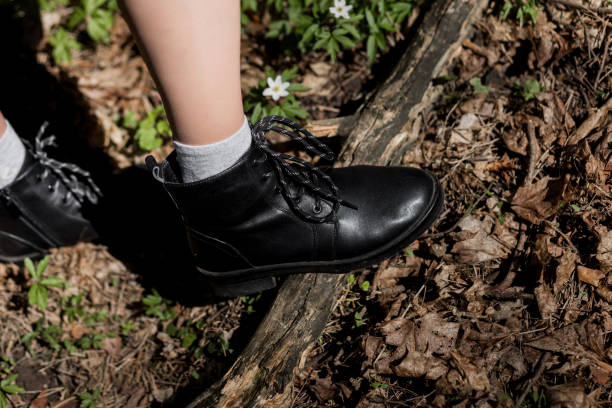 istock New collection of women's shoes 1459009164