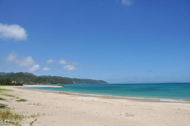 istock A very beautiful beach on Kouri Island 1459009260