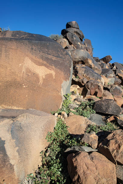 istock SOUTH AFRICAN PETROGLYPHS: GREAT KAROO 1459011254