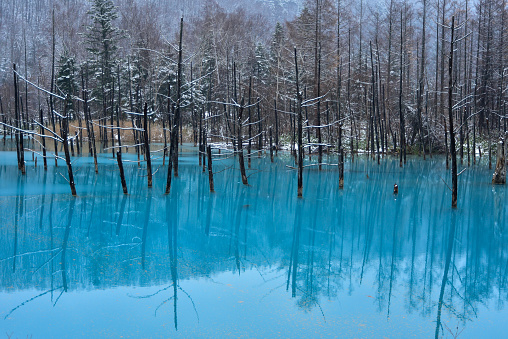A very beautiful blue pond with winter snow in Hokkaido