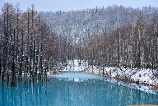A very beautiful blue pond with winter snow in Hokkaido