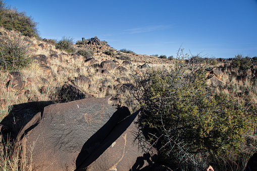 Great Karoo, South Africa (Victoria West area). Representational petroglyphs (Eland) in rocky outcrop created by the San Peoples.