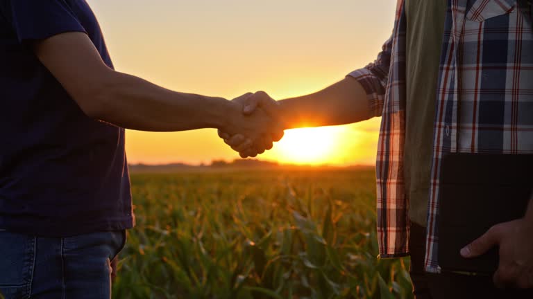 SLO MO Two farmers shake hands in the field of corn at sunset