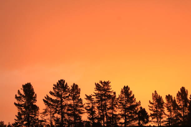 istock Lumsden, New Zealand 1459015714