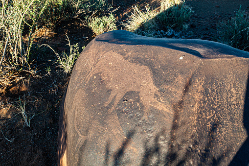 Great Karoo, South Africa (Britstown area). Representational petroglyph of Rhinoceros created by the San Peoples.