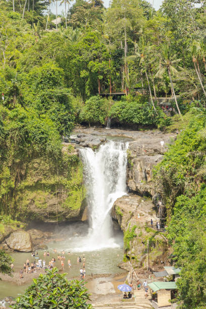 istock Tegenungan waterfall, Bali, Indonesia. Jungle, forest, daytime with cloudy sky. 1459017019