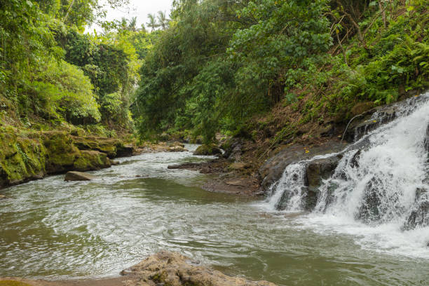 istock Uma Anyar waterfall, Bali, Indonesia. Jungle, forest, daytime with cloudy sky. 1459017078