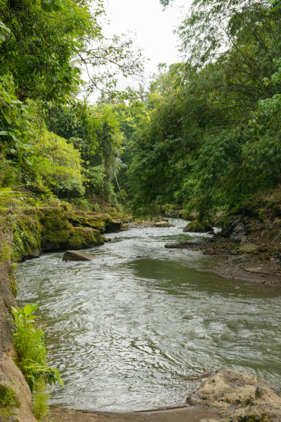 istock Uma Anyar waterfall, Bali, Indonesia. Jungle, forest, daytime with cloudy sky. 1459017103