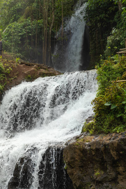 istock Uma Anyar waterfall, Bali, Indonesia. Jungle, forest, daytime with cloudy sky. 1459017172