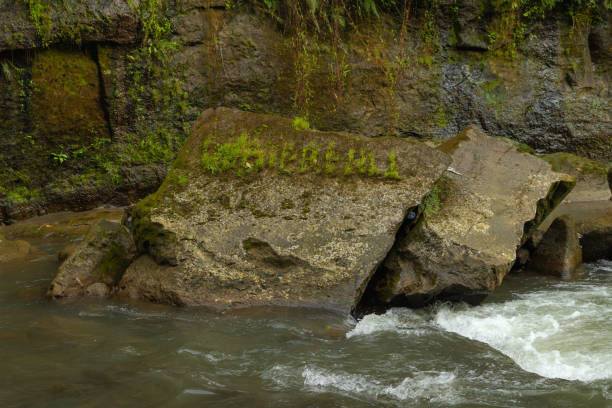 istock Uma Anyar waterfall, Bali, Indonesia. Jungle, forest, daytime with cloudy sky. 1459017242