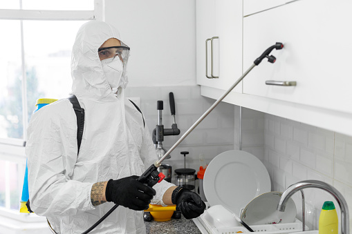 Young male exterminator worker spraying insecticide chemical in kitchen